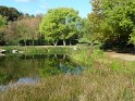 2011-10-20 11-59-08 Rando Parc de La Courneuve CGn